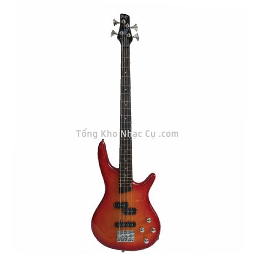 Đàn Guitar Electric Bass Fender TMB380